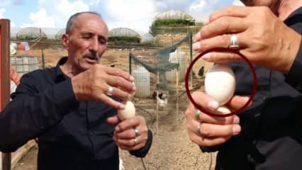 55 yıllık yumurta ustası taze yumurtayı anlama yöntemini açıkladı