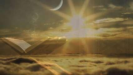 ruyada timsah gormek ne demek ruyada timsah yavrusu gormek neye isaret eder dini bilgiler haberleri