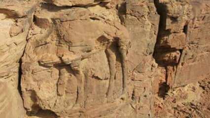 Suudi Arabistan'da kayalara kazınmış deve figürleri 8 bin yıllık çıktı