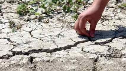 Hatay'da kuraklık Yarseli Barajı'nı vurdu