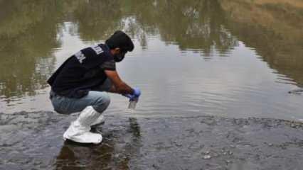 Kars Çayı'daki balık ölümlerinin nedeni ortaya çıktı