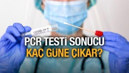 PCR testi sonucu kaç günde çıkar? Korona testi sonucu kaç saate öğrenilir?