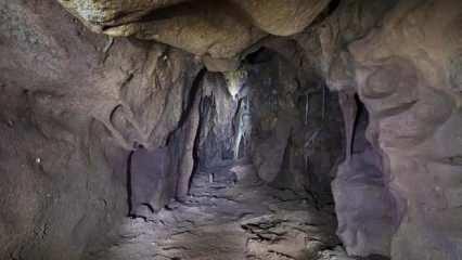 40 bin yıl sonra açılan mağarada Neandertallere ait yeni buluş