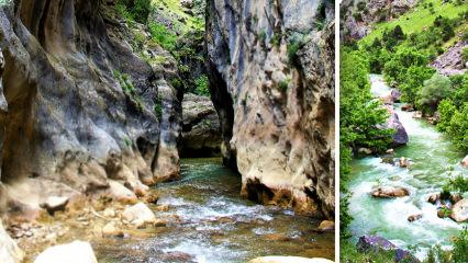 Kahramanmaraş'ın saklı cenneti: Hançer Kanyonu