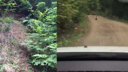 Karab&uuml;k&rsquo;te seyir halindeyken bir anda &ouml;nlerine &ccedil;ıktılar