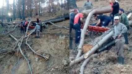 Mersin’de ağaç kesen orman işçisi feci şekilde yaralandı