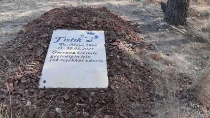 Muğla’da köpeğinin mezarını defalarca tahrip ettiler!