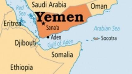 Arap koalisyonu: Yemen'de bir günde 134 Husi milis öldürüldü