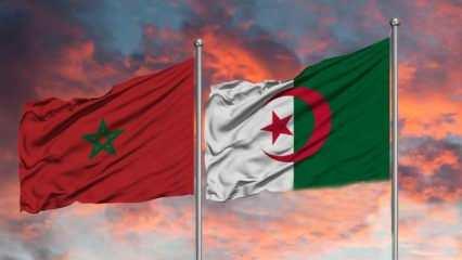 Cezayir-Fas ilişkileri: Rabat Büyükelçisi geri çekildi