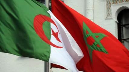 Cezayir, Rabat Büyükelçisi'ni geri çekti