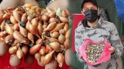 Bursalı pazarcı 10 kilo tohumluk soğan aldı! İçinden çıkan taşları görünce şok oldu