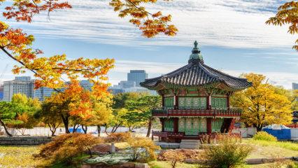Sonbahar, Güney Kore’de bir başka güzel