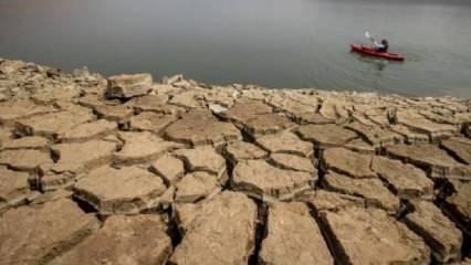 California’da kuraklık: Acil durum ilan edildi