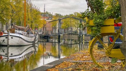 Hollanda'dan muhteşem sonbahar manzaraları
