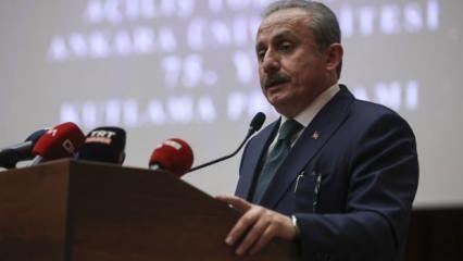 Meclis Başkanı Şentop: Türkiye tesir gücüne sahip bir ülke
