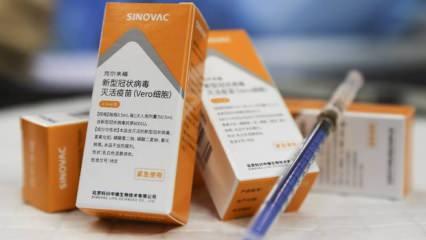 Sinovac aşısının üçüncü doz verileri açıklandı