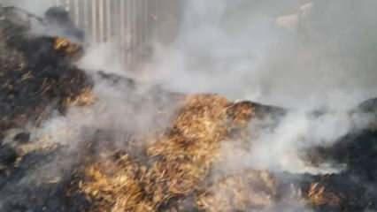 Konya'daki yangında 30 ton saman kül oldu