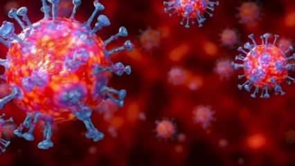 Koronavirüsten hayatını kaybedenlerin sayısı 5 milyonu geçti