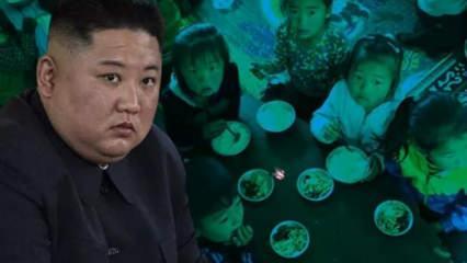 Kuzey Kore gıda kıtlığında kuğuları yiyecek!
