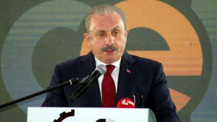 TBMM Başkanı Şentop: Türk firmaları rakip ülkeleri korkuttu