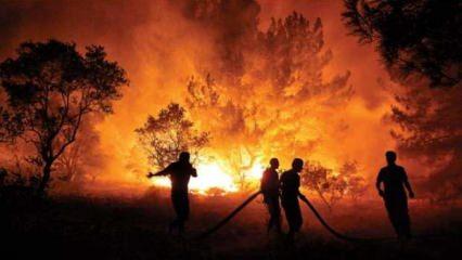 BAE'den Türkiye'ye orman yangınları ve selden etkilenen bölgeler için destek