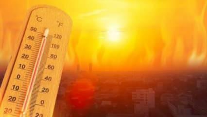 Korkutan rapor: Kayıtlara geçmiş en sıcak 7 yıl olabilir
