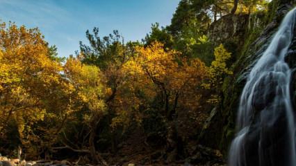 Türkmen Şelalesinde sonbahar şöleni