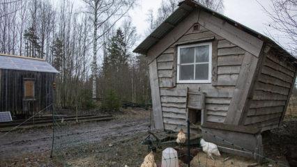 İsveç'in 8 metrekarelik 'tiny house'ları