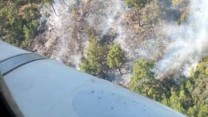 Manavgat'ta orman yangını: Havadan müdahale başladı