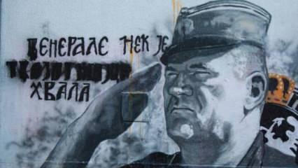 Sırbistan'da savaş suçlusu Mladic'in duvar resminin korunması protesto edildi