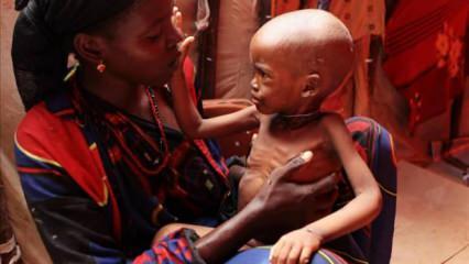 Somali'den ölümcül kuraklığa karşı yardım çağrısı