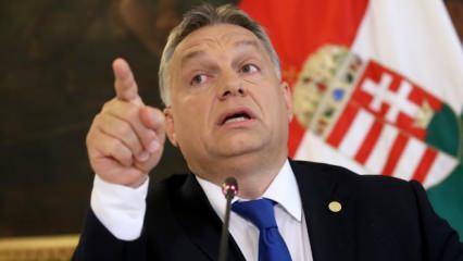 Orban, Avrupa Birliği'ne meydan okudu