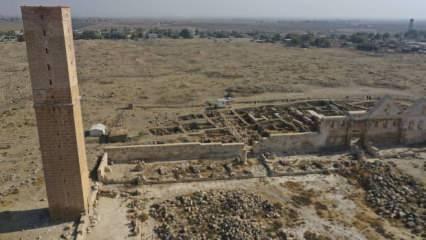 Harran'da 12. yüzyıl dönemine ait ilk medrese yapısı ortaya çıkartıldı