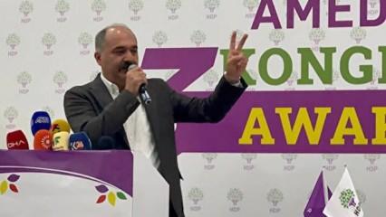 HDP'li vekilden Öcalan için skandal çağrı!