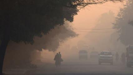 Hindistan'da "KOAH hastaları için hava kirliliğiyle mücadele" çağrısı