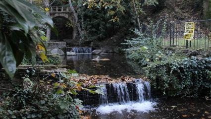 İzmir'in gizli bahçesi: Derekahve