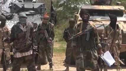 Nijerya'da 15 binden fazla Boko Haram üyesi teslim oldu