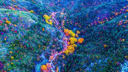 Spil Dağı'ndan harika sonbahar manzaraları