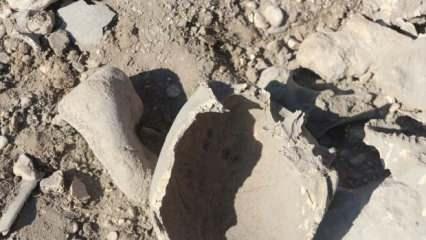  Van'da Demir Çağı'na ait insan kemikleri, seramik ve çömlek parçaları bulundu
