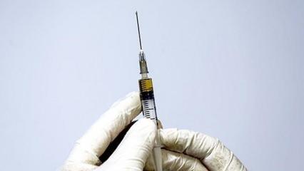 AB, 2 ülkenin COVID-19 aşı sertifikasını tanıdı