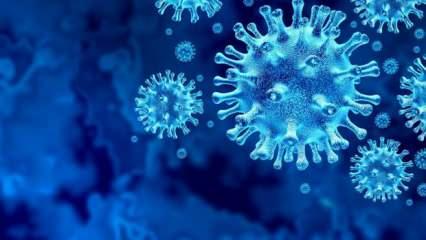 Koronavirüse karşı yeni ilaç umudu: Faz-2 çalışması tamamlandı