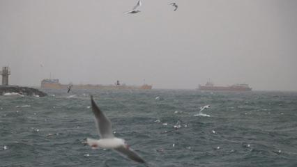 Marmara'da 2 gündür lodos nedeniyle aksayan deniz ulaşımı normale döndü