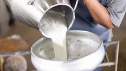 Ciğ süt fiyatına yüzde 46 zam! İkinci zammın da sinyalini verdi