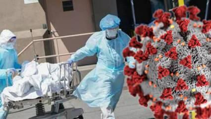 Avrupa ülkesine Omicron senaryosu: 75 bin ölüm bekleniyor