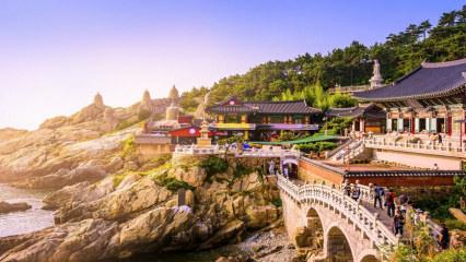 Doğası ve kültürüyle keşfedilmeyi bekleyen ülke: Güney Kore