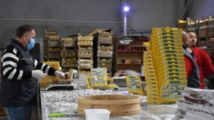 Tescilli "Osmaneli ayva lokumu"nun pazar ağı genişliyor