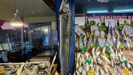2 bin liraya satılan kılıç balığı ilgi çekiyor