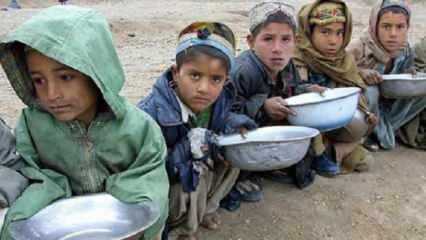 BM'den Afganistan'a 40 ton insani yardım 