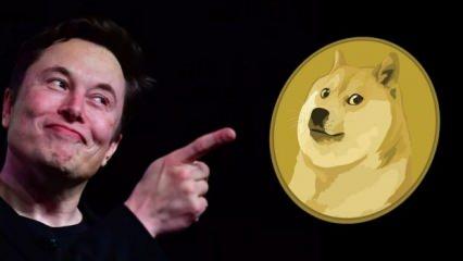 Elon Musk paylaştı! Dogecoin yükselişe geçti