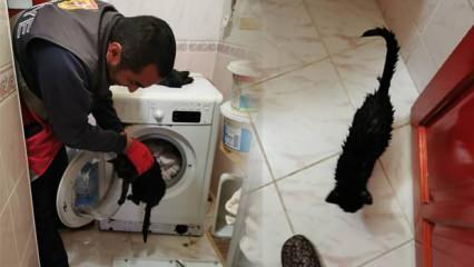 Yorganla beraber kedisini çamaşır makinesine koydu! İtfaiye ekipleri kurtardı